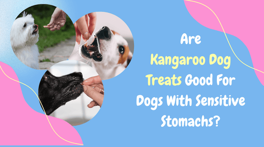 Healthy dog treats, Kangaroo meat, Novel protein, let's pawty 