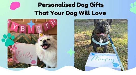 Personalised dog gifts let's pawty