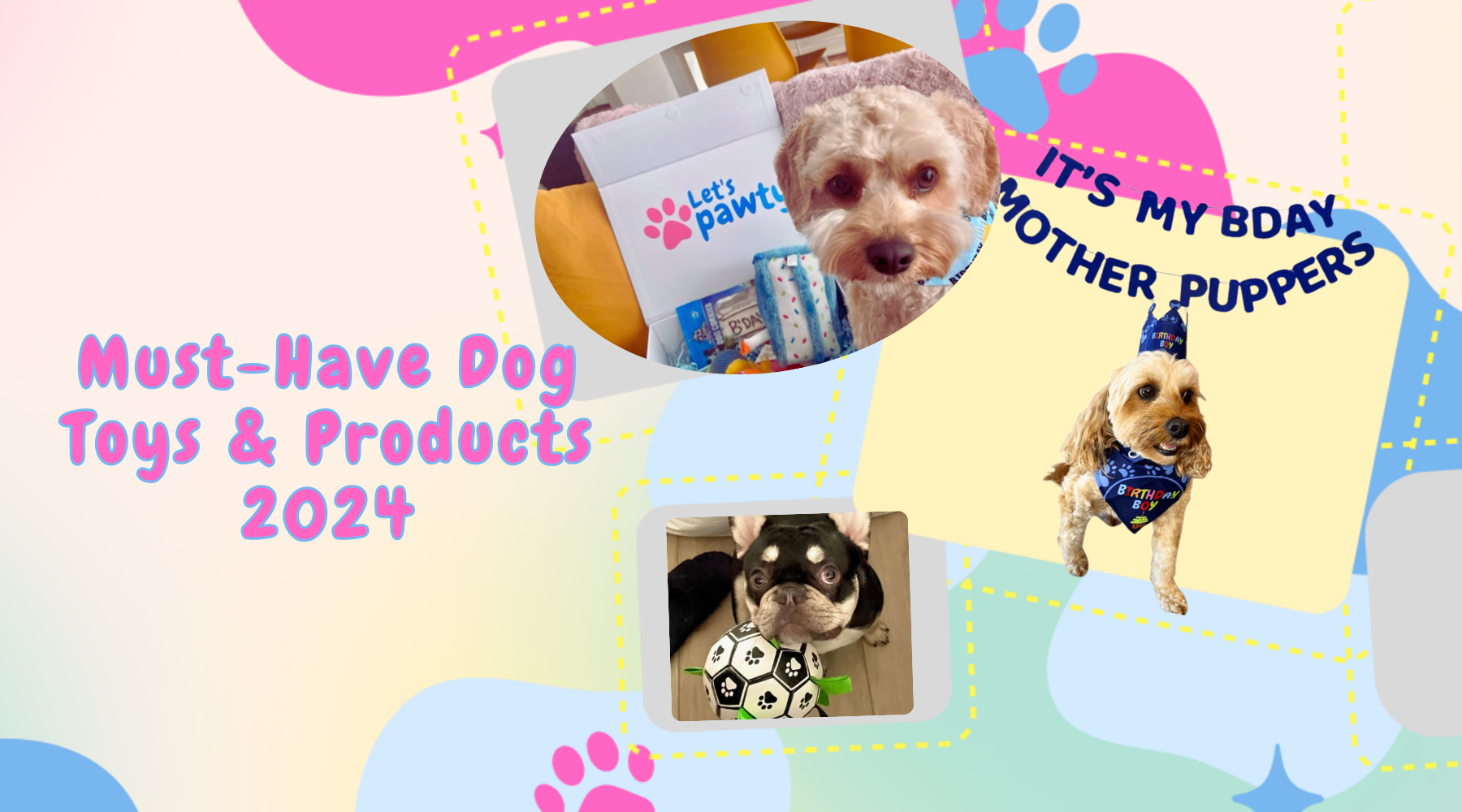 The best must have dog products for 2024 Let s Pawty