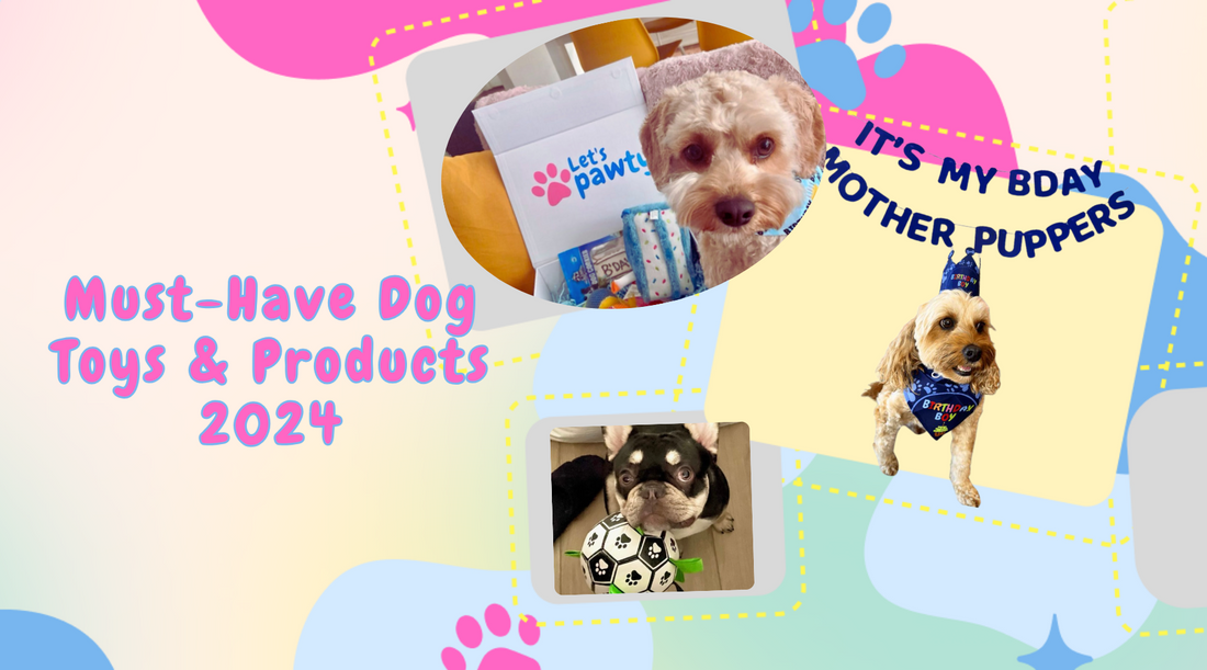 The best must-have dog products for 2024 Let's Pawty blog