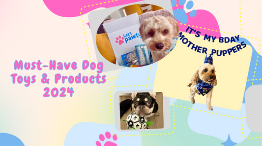 The best must-have dog products for 2024 Let's Pawty blog