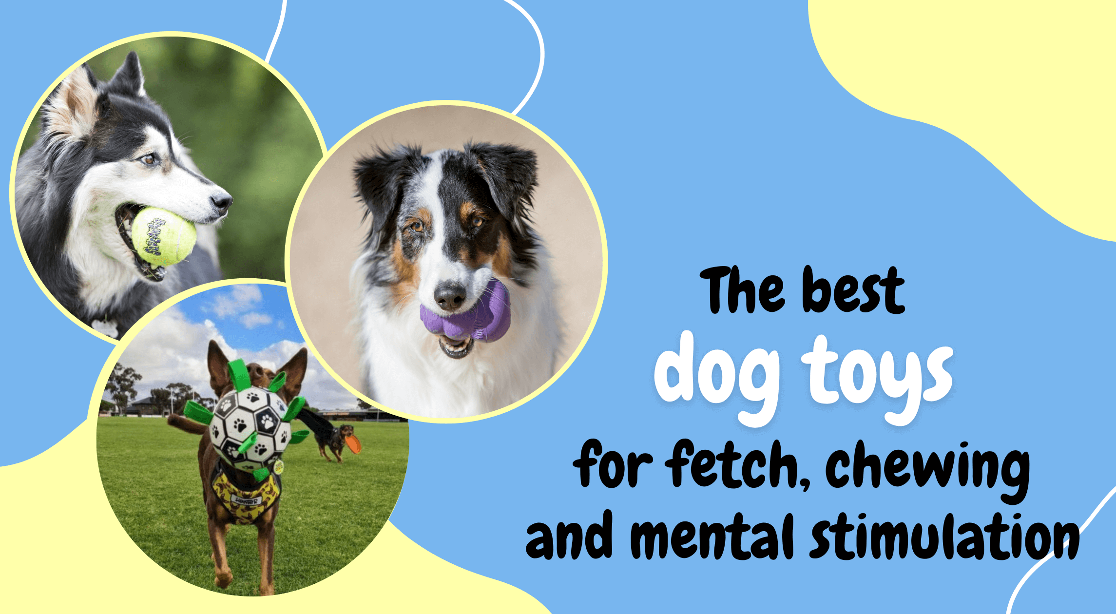 The best dog toys for fetch, chewing and mental stimulation