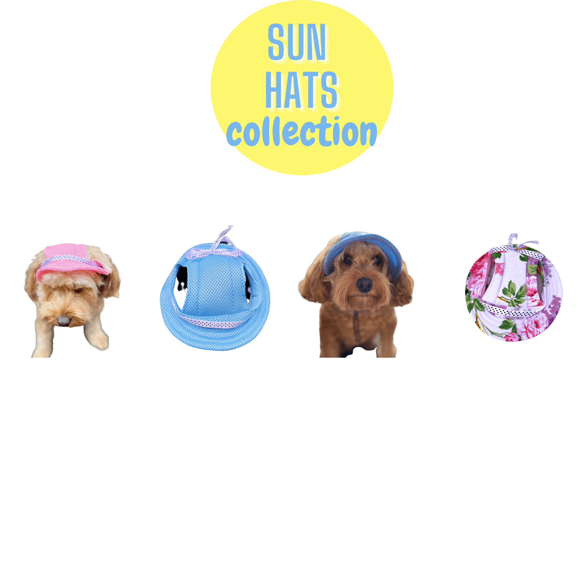 Dog 2024 hats australia