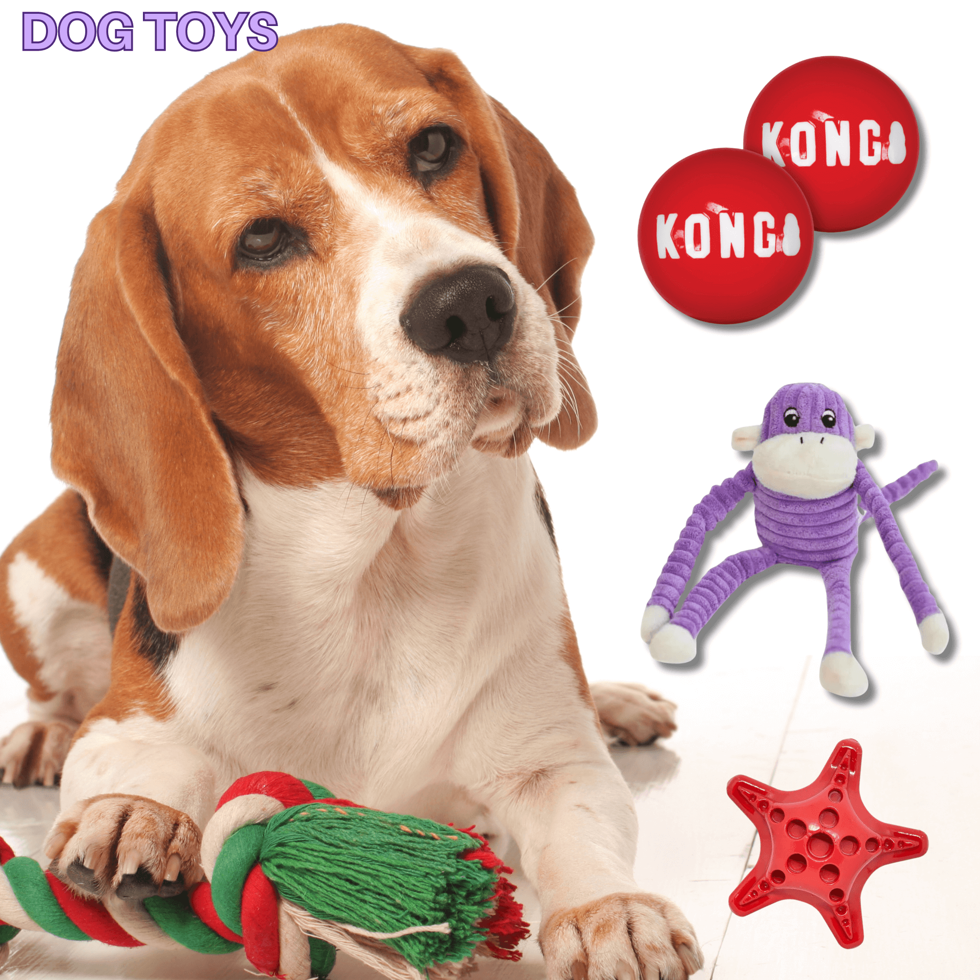 Pet toys online best sale