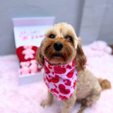 Be Mine Valentine Dog Bandana - Tie Up