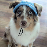 Blue sun hat let's pawty