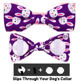 Easter bunny dog bow let's pawty