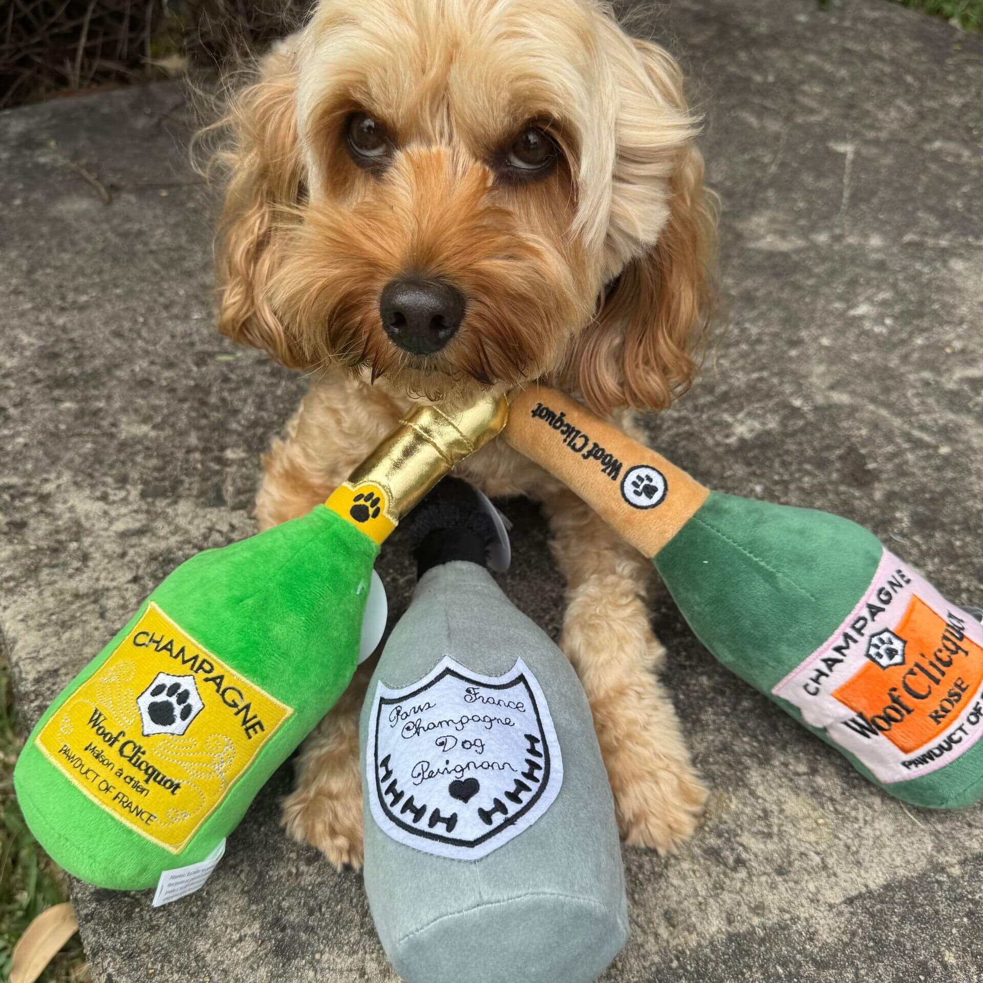 champagne Trio dog toy bundle
