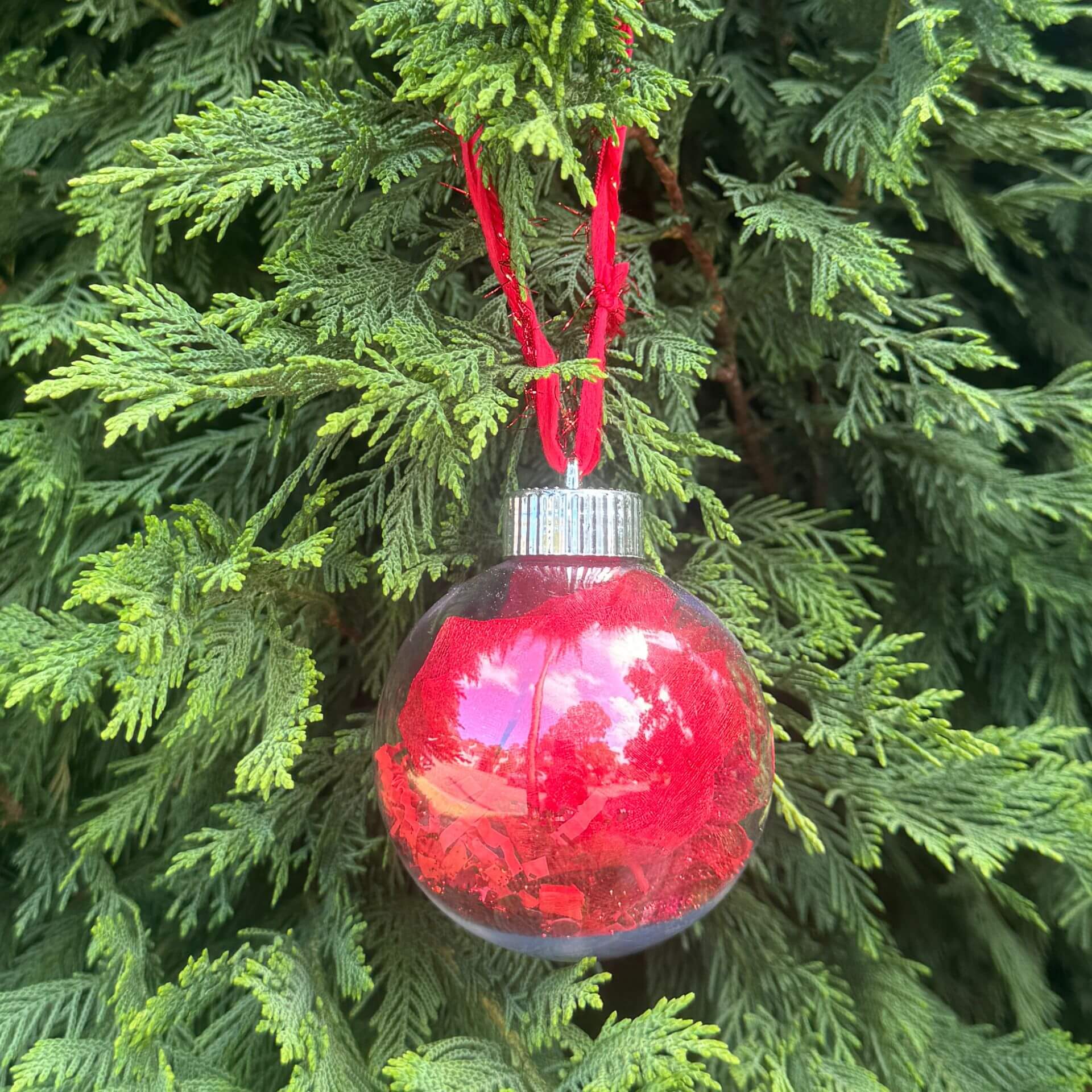 Red Christmas ornament hanging on a green tree