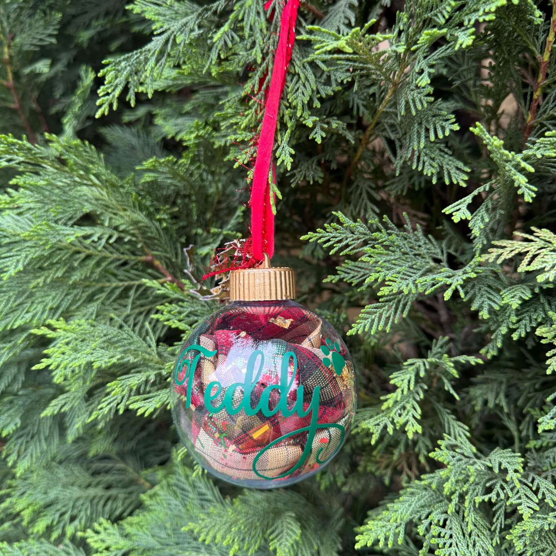 Decorative Christmas ornament with 'Teddy' text hanging on a tree