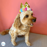 Dog Birthday Party Hat Gold with  Multi-Coloured Flowers
