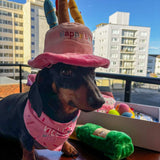 personalised dog gift box, let's pawty