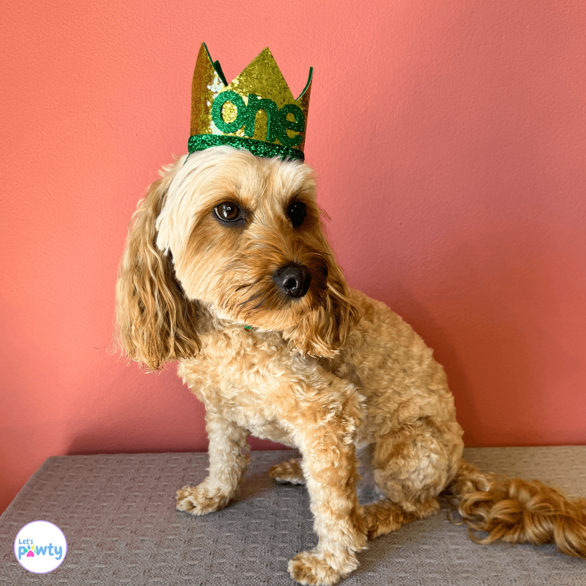 gold glitter dog party hat with one