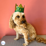 gold glitter dog party hat with one