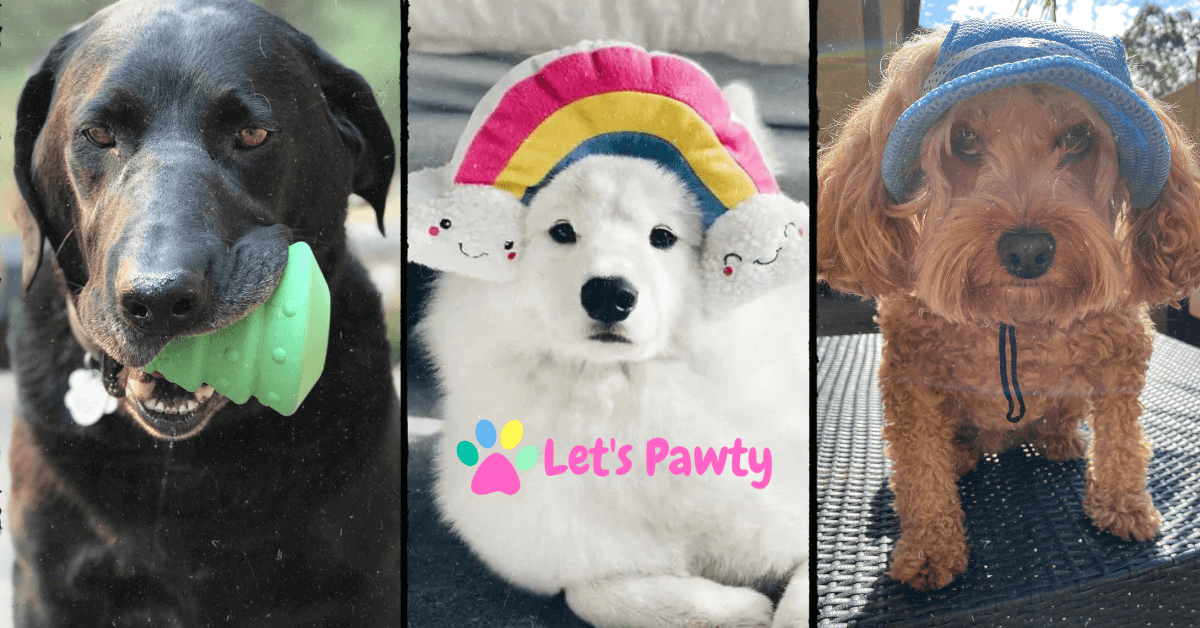 Chewy Vuiton Checker Handbag Dog Toy, DoggyTopia
