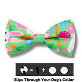 Easter garden dog bow let's pawty