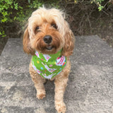 Happy Easter Dog bandana let's pawty