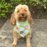 tie up easter dog bandanna , let's pawty