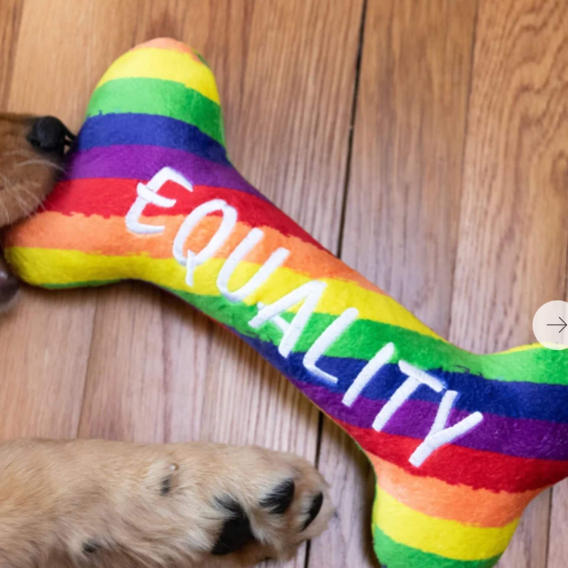 pride equality dog toy, Huxley and Kent