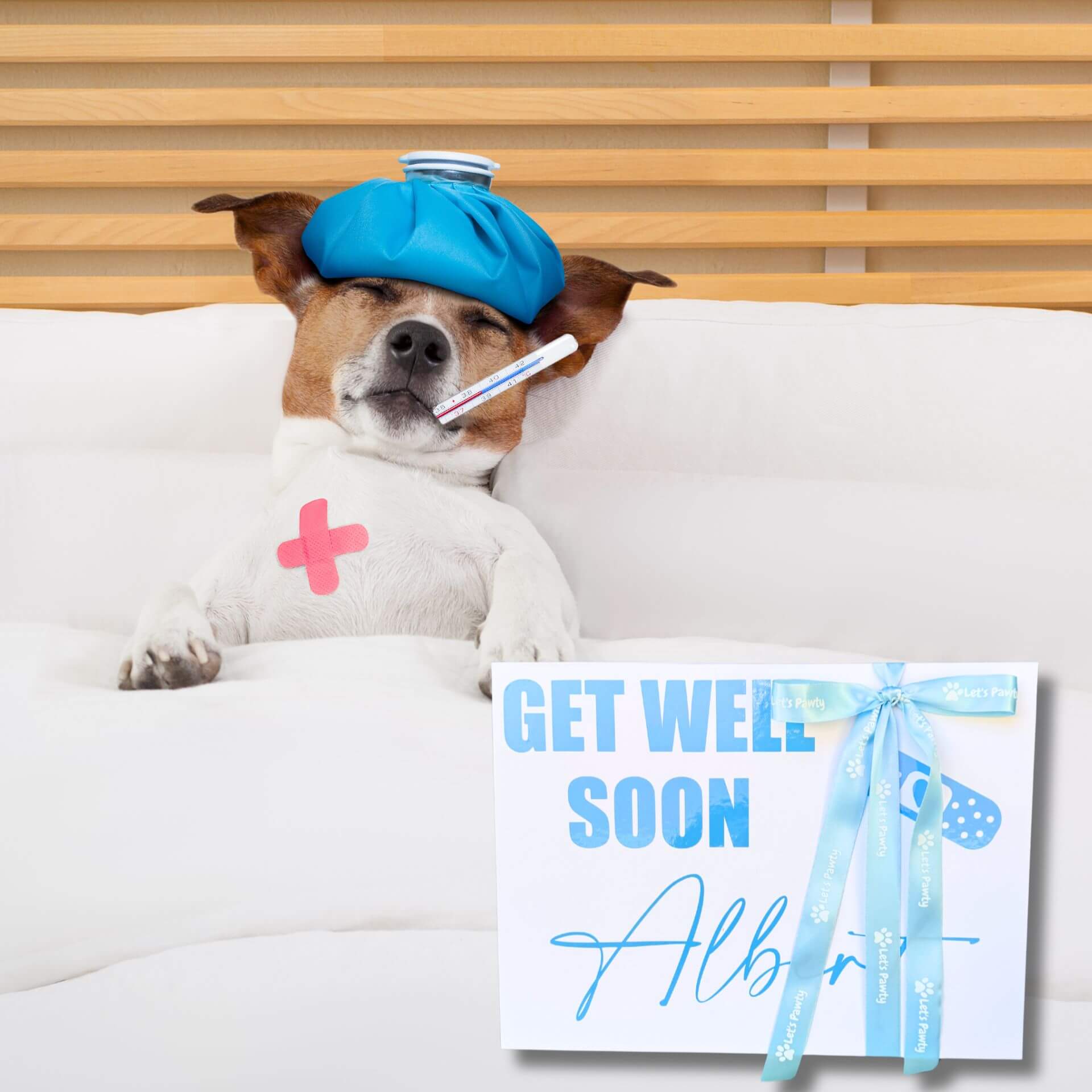 Get well soon personalised dog gift box let's pawty
