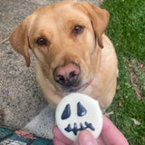Halloween dog boo cookie treat