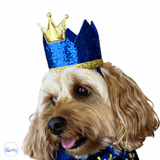 happy birthday dog party decoration set, let's pawty