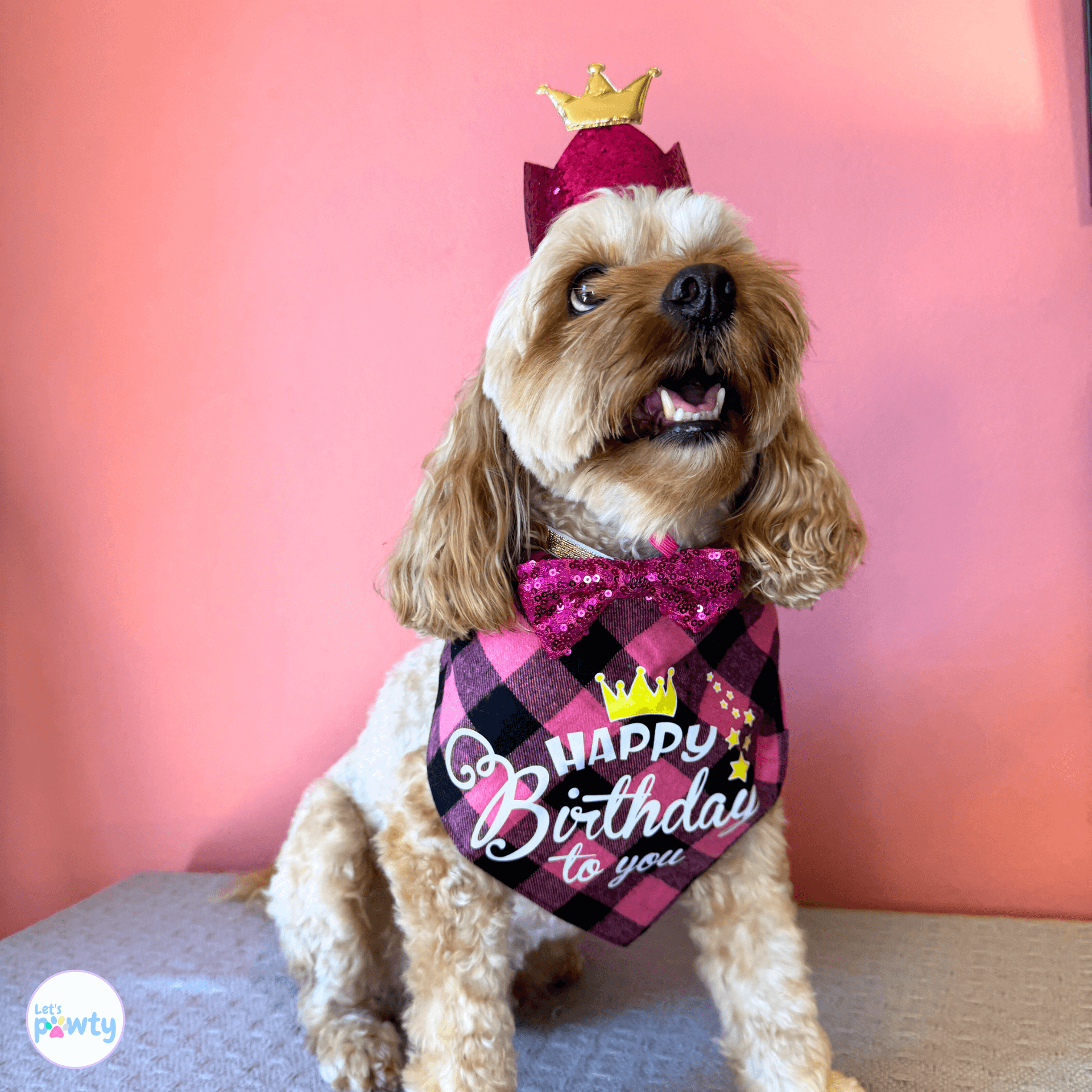 og birthday hat, crown, bow tie set, let's pawty