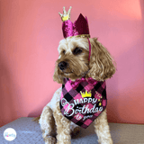 og birthday hat, crown, bow tie set, let's pawty