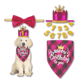 Dog birthday hat, crown, bow tie set, let's pawty