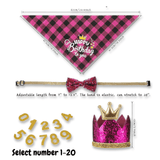 og birthday hat, crown, bow tie set, let's pawty