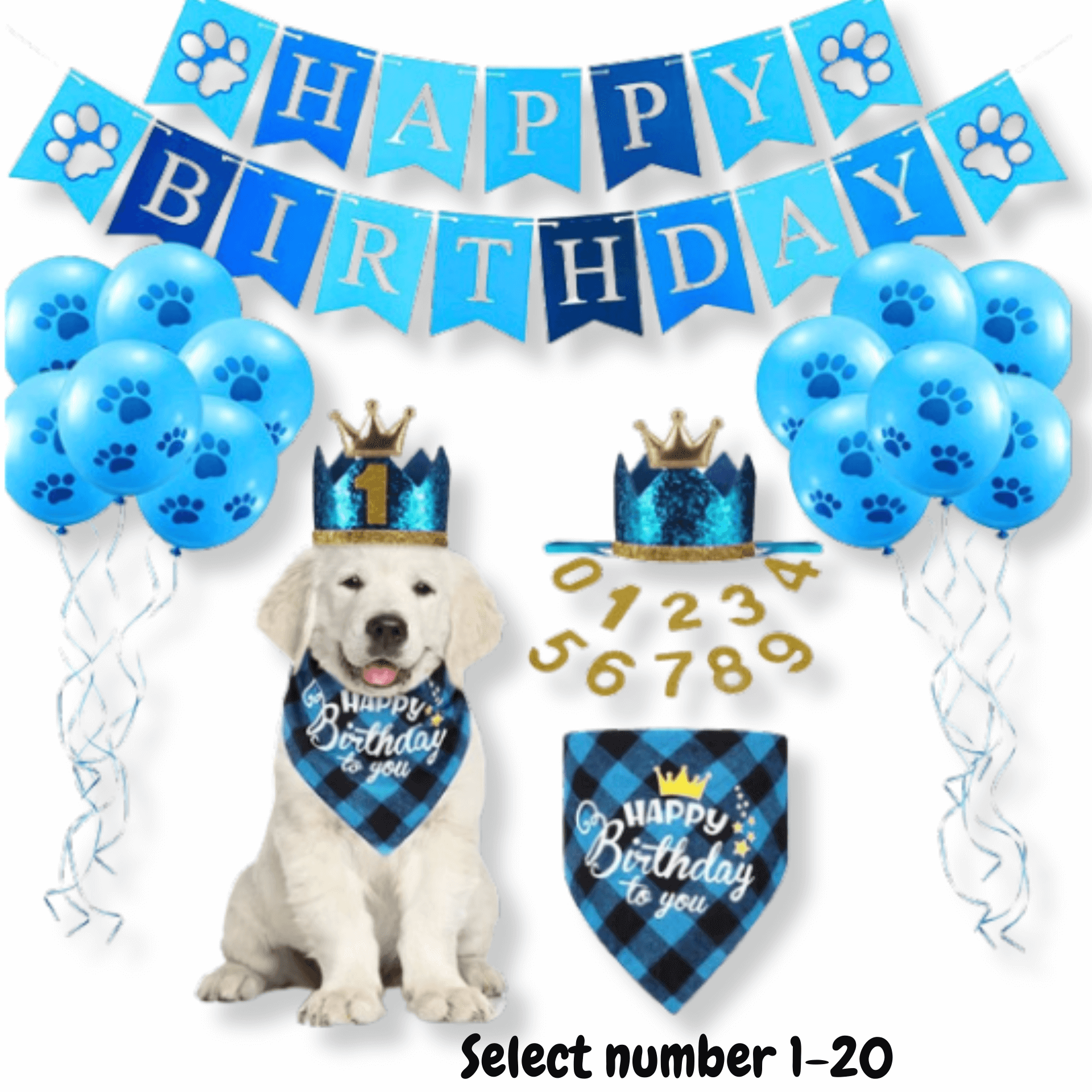 Happy birthday dog party set kit