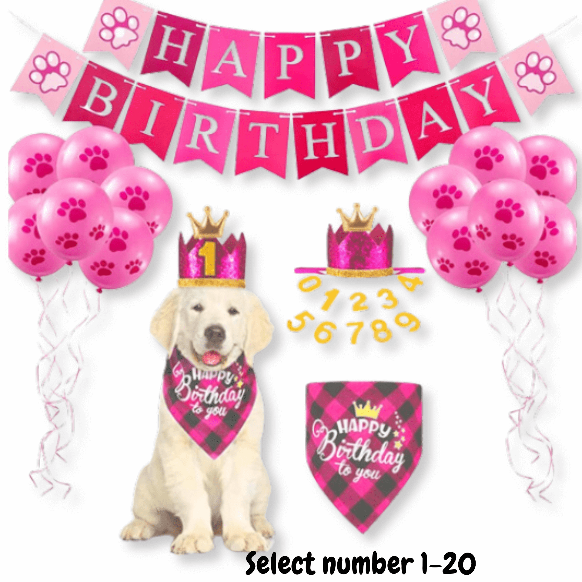 Happy birthday dog party set