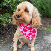 be Mine valentine's dog bandana