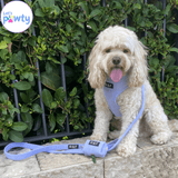 Lavender dog harness, dog leash and poop bag holder