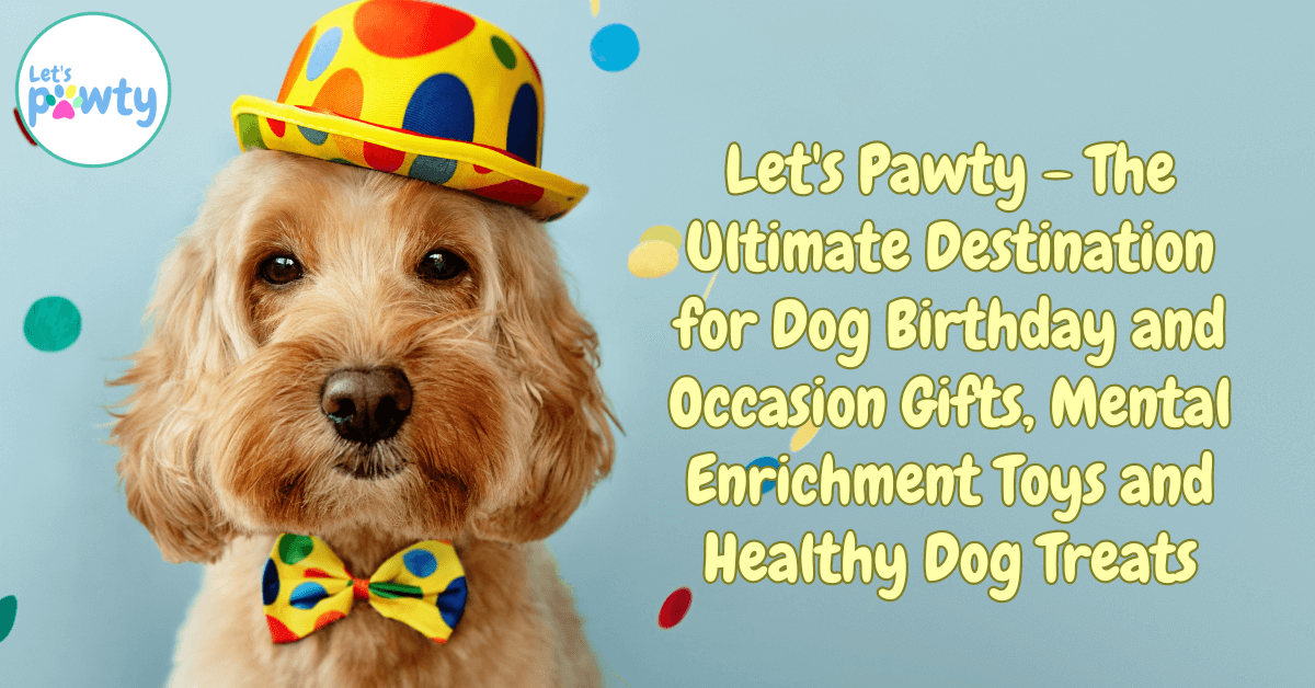 Dog 2024 toys afterpay