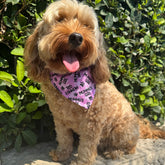 Mummy's girl dog bandana , let's pawty