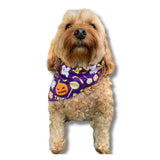 trick or treat dog bandana tie up