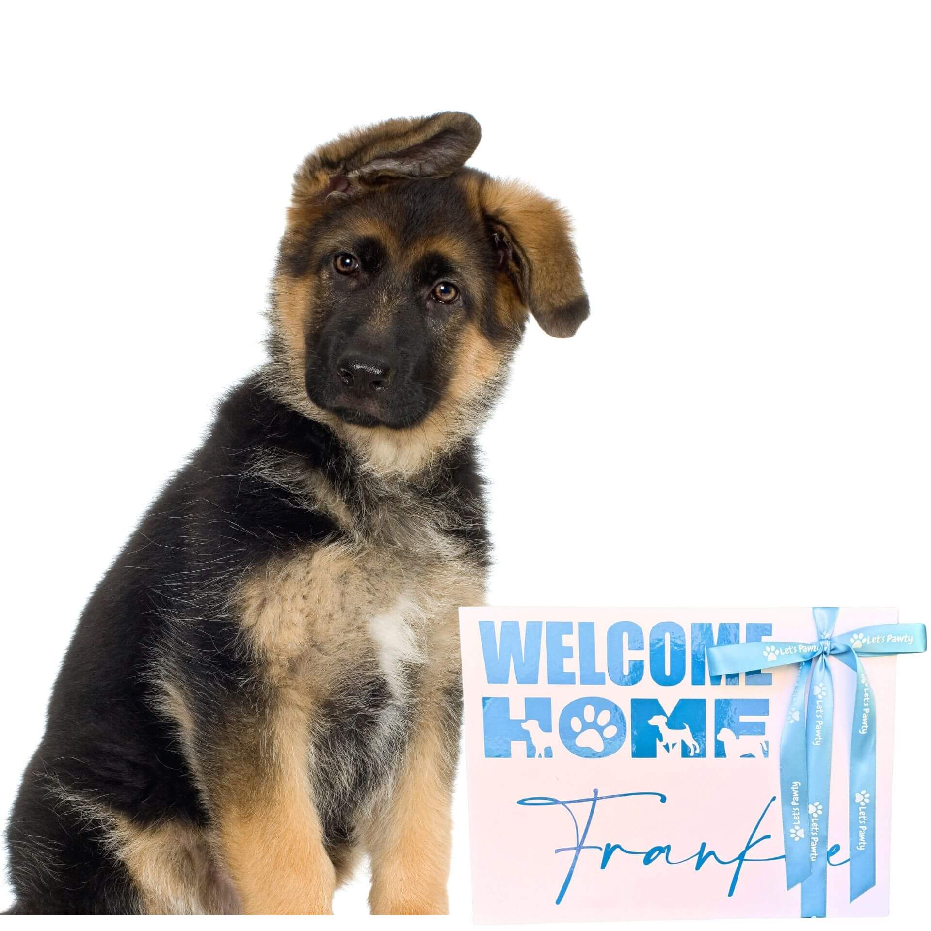 Welcome Home dog gift box