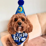 dog birthday gift set, let's pawty