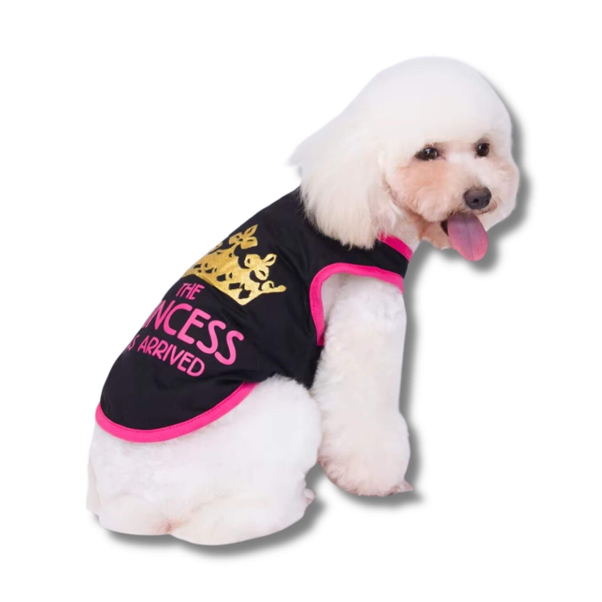 small breed dog tshirt, the princess has arrived