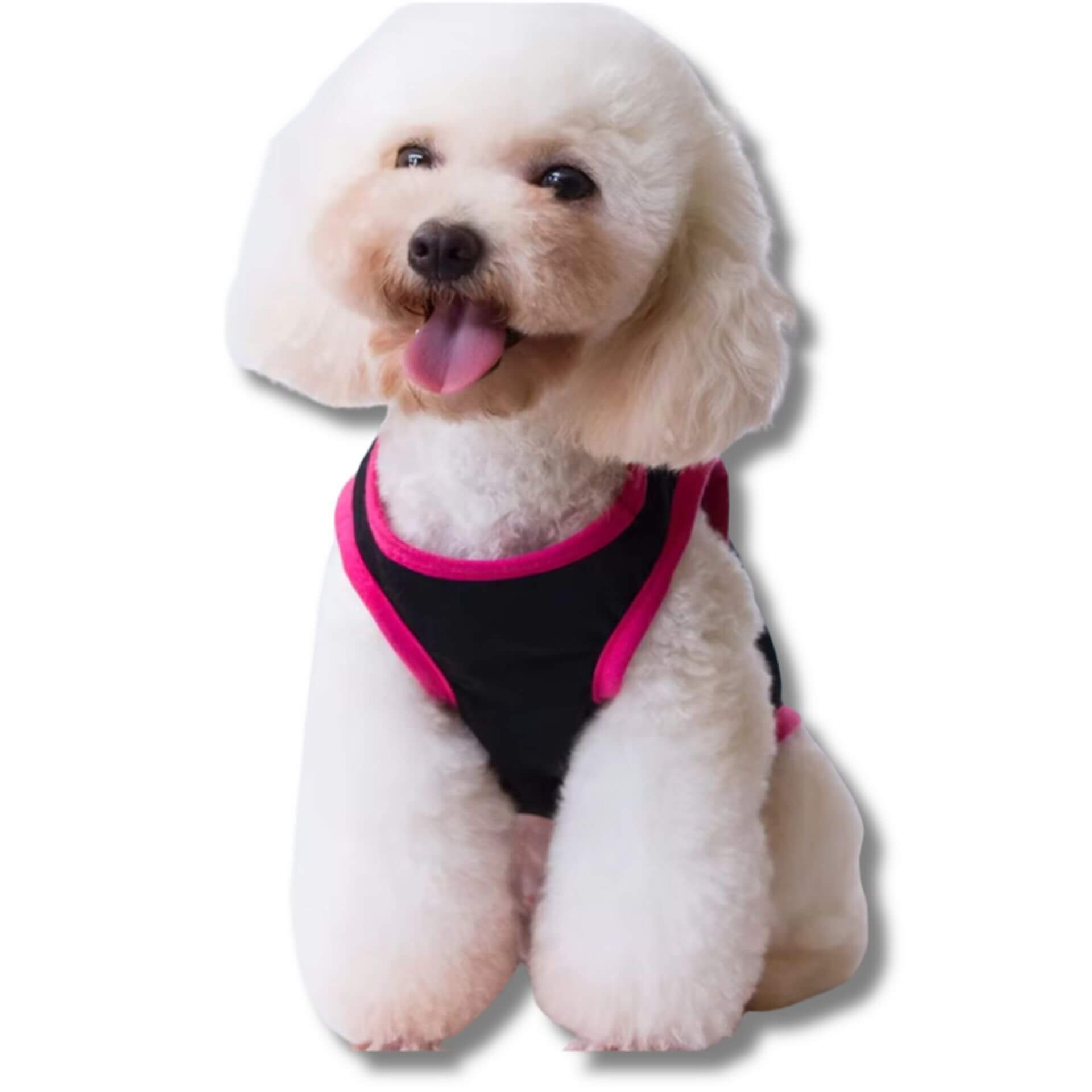 small breed dog tshirt, the princess has arrived