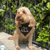 Dog of honour reversible dog bandana, let's pawty