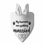 Dog wedding bandana fashion accessory let's pawty