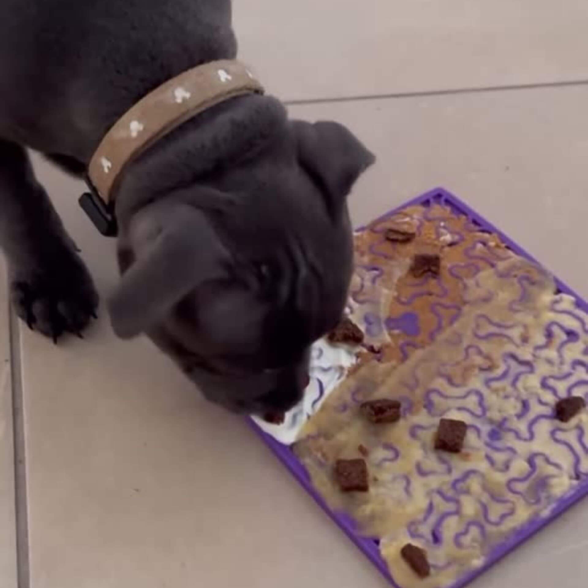 Bones enrichment lick mat, boredom buster, dog toys, let's pawty