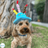 Happy birthday plush hat with candles for dogs or cat in blue or pink