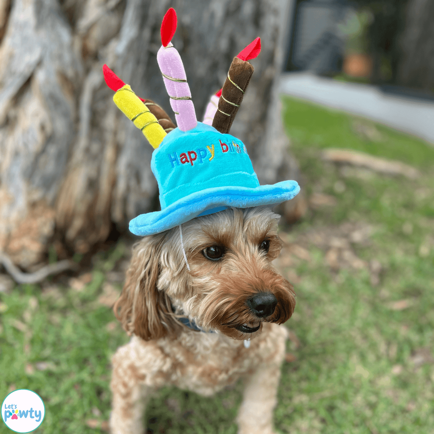 Happy birthday plush hat with candles for dogs or cat in blue or pink