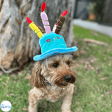Happy birthday plush hat with candles for dogs or cat in blue or pink