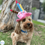 Happy birthday plush hat with candles for dogs or cat in blue or pink