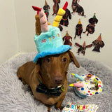 plush happy birthday dog hat