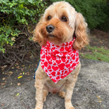 Valentine themed dog bandana tie up